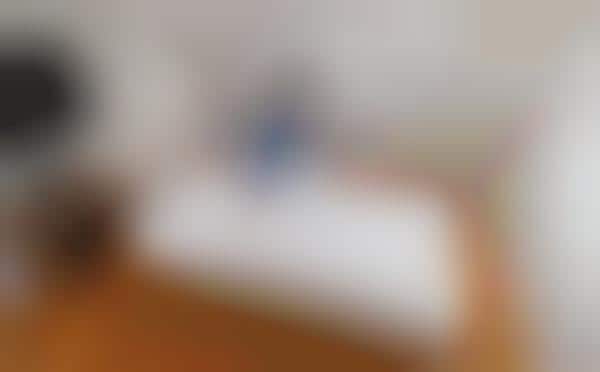Disposable Bed Sheets