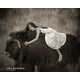 Taxidermy Children Portraits Image 8