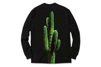 Fleeting Fashion Lines Image 2