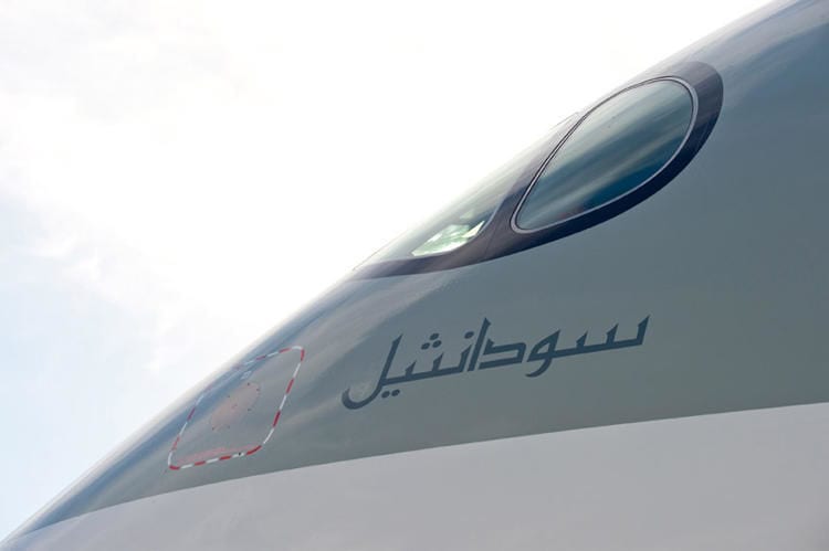 Carbon Fiber Airplanes