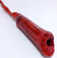 Conceptual Synthetic Organs Image 5