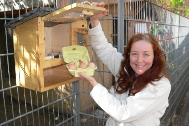 Farm Egg Vending Machines