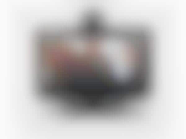 HD Teleconference Cameras