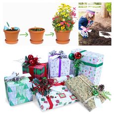 Plantable Wrapping Paper Article Thubnail