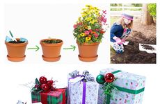 Plantable Wrapping Paper