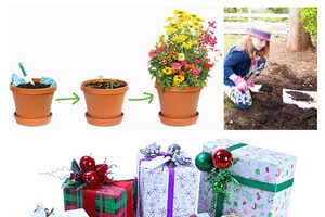 Plantable Wrapping Paper Article Thubnail