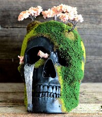 Bonsai Skull Gardens Image 2