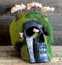 Bonsai Skull Gardens Image 3