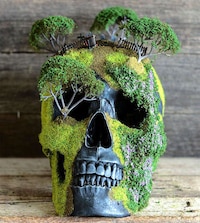 Bonsai Skull Gardens Image 6