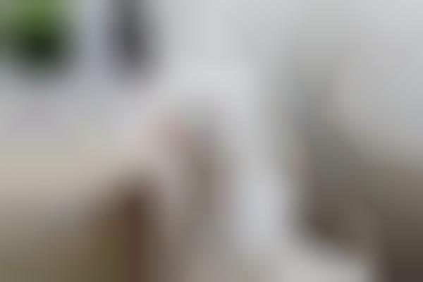 Treat-Dispensing Pet Cameras