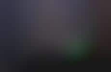 Transparent Stargazer Tents