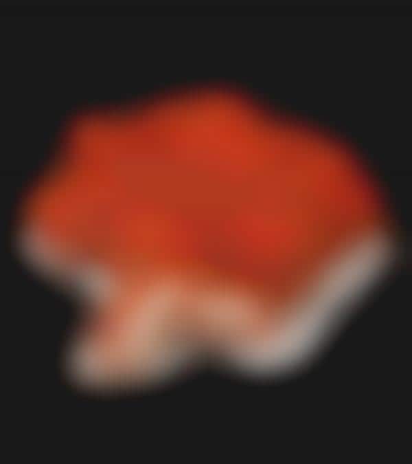 Piquant Chicken Bites