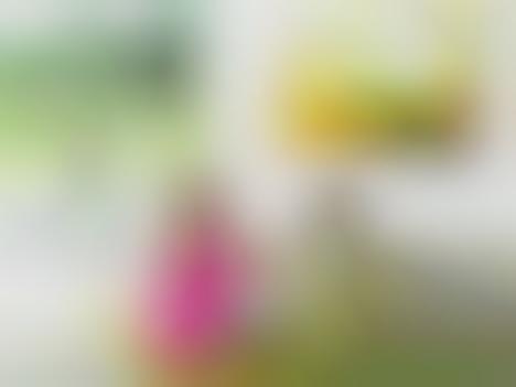 Free HD Content Streaming