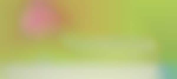Child-Friendly Search Engines