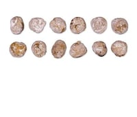 Organic Dessert Gums Image 5