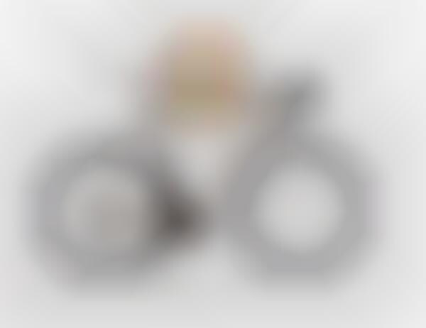 Organizational Bicycle Rakes