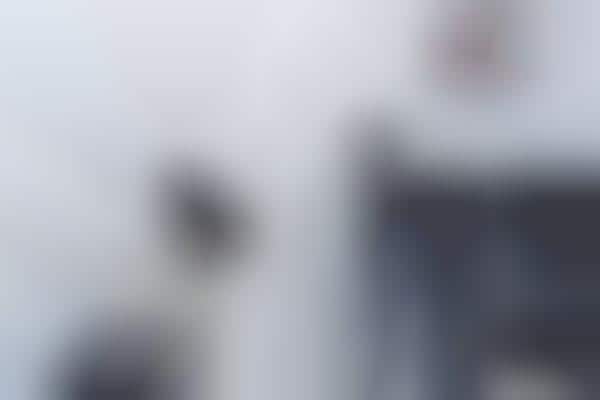Cloud-Based Pet Cameras