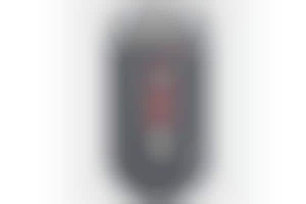 Pocket-Sized Camcorders