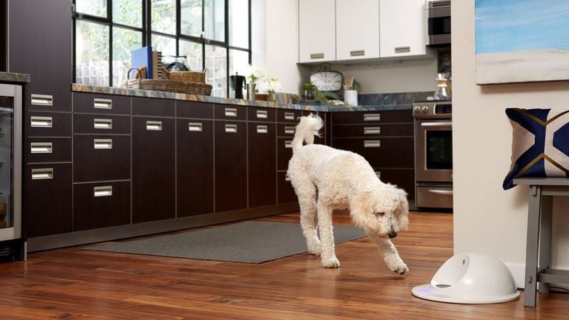 Canine Entertainment Units
