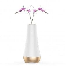 WiFi-Connected Flower Pots