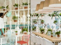 Vibrant In-Store Restaurants Image 4