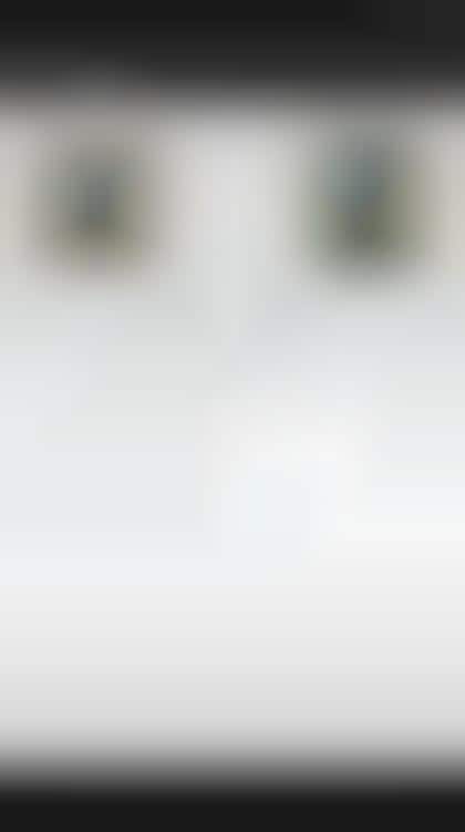 Blind-Assisting Smartphone Apps