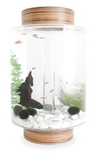 Cylindrical Fish Tanks Image 2