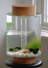 Cylindrical Fish Tanks Image 5