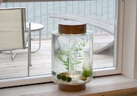 Cylindrical Fish Tanks Image 6