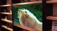 Transparent TV Screens Image 3