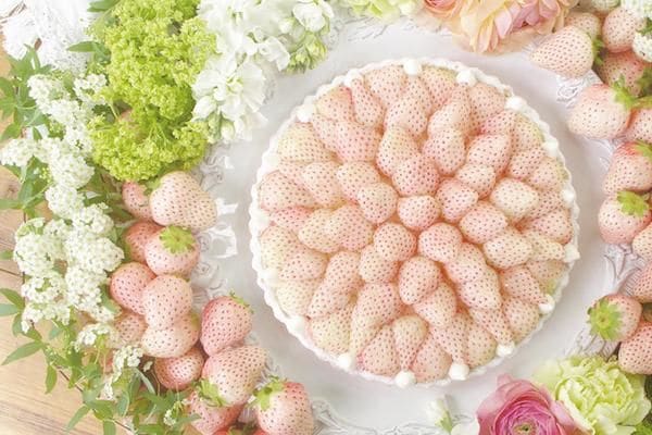 Sensory Romance Desserts