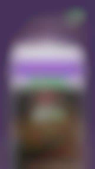 Temporary Photo-Sharing Apps