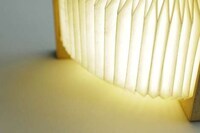 Accordion-Inspired Illuminators Image 3