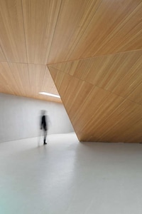 Submerged Concert Halls Image 5