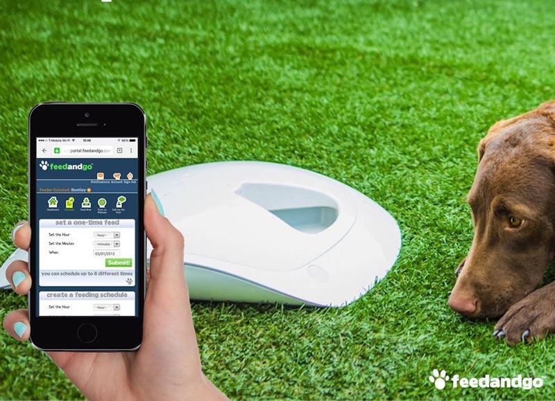 Automated Pet Care Devices