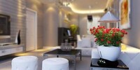 Indoor Hydroponic Gardens Image 2