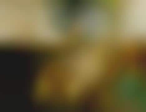 Gesture-Tracking Cameras