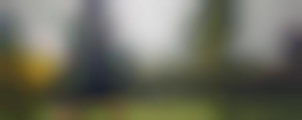 Data-Tracking Baseball Bats