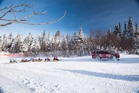 Rugged Snow Vehicles Image 5