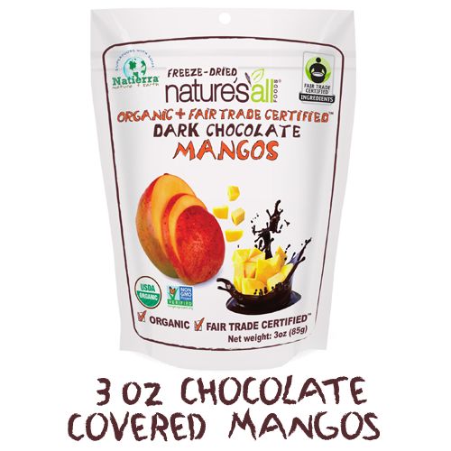 Chocolate-Covered Fruit Bites