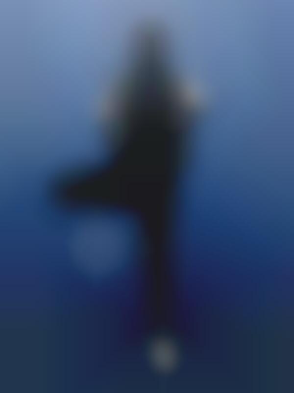 Yogic Diving Classes