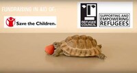 Charitable Tortoise Commercials Image 8