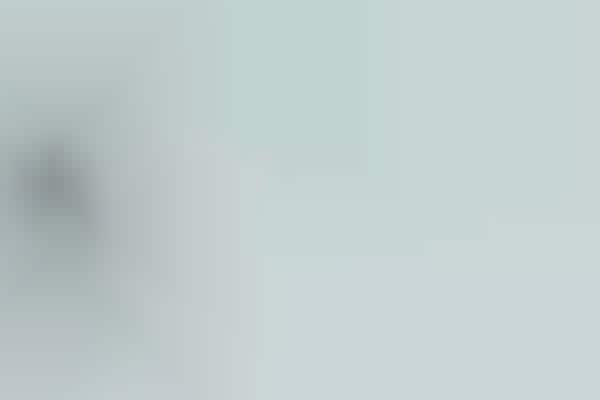 Whiteout Sneaker Shop Concepts