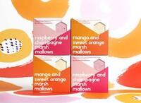 Vibrant Marshmallow Branding Image 4