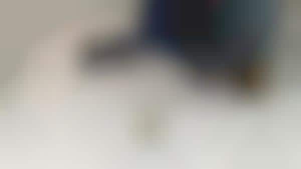 3D Animal-Scanning Cameras