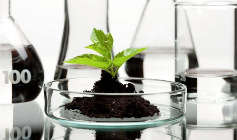 Medical Marijuana Biotech Brands