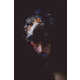 Fleeting Beauty Photography Image 2