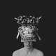 Fleeting Beauty Photography Image 5