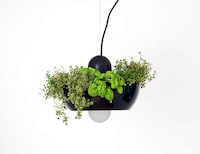 Gardener Lighting Solutions Image 2