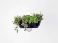Gardener Lighting Solutions Image 3